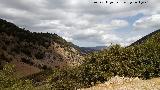 Barranco de los Alamillos. 