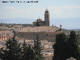 beda. Palacio Vzquez de Molina y el Salvador. Desde la Torre del Portillo del Santo Cristo