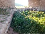 Puente Viejo de Ariza. Muro de contencin