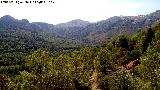 Cerro Cerezuelo. Desde la altura de Solana de Padilla