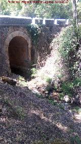 Arroyo de las Lagunillas. Puente del Cerezuelo