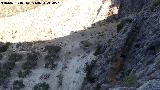 Cortijo de El Egido. Desde las paredes rocosas que dan a Bedmar