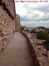 Muralla de San Lorenzo. Abarve