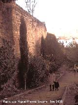 Muralla de San Milln. 