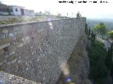 Muralla de Saludeja. 