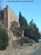 Torren de Saludeja V. 