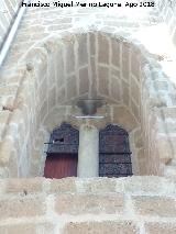 Iglesia de San Pedro. Arreglo contra las aves