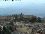 Colegiata de Santa Mara de los Reales Alczares. Desde la Torre del Reloj