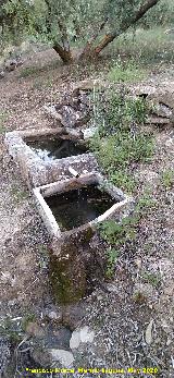 Fuente de las Quebradas. 