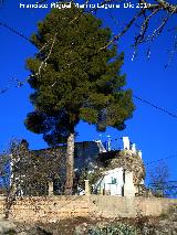 Cortijo de las Piedras. 