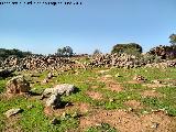 Aprisco del Guadaln. 