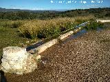 Fuente de Burguillos. 