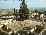 Medina Azahara. Viviendas Superiores. Vivienda occidental