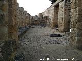 Medina Azahara. Casa del Ejrcito. Caballerizas