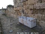 Medina Azahara. Casa del Ejrcito. Caballerizas