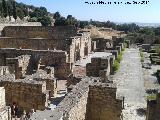 Medina Azahara. Casa del Ejrcito. 