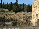 Medina Azahara. Viviendas del Servicio. 