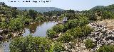 R�o J�ndula. Despu�s de la Presa del Encinarejo