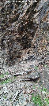 Pinturas rupestres del Abrigo del Guadal�n II. Abrigo