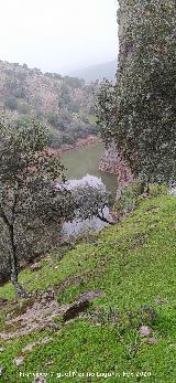 Pinturas rupestres del Abrigo del Guadal�n III. Vista del r�o desde el abrigo