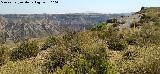 Cazoletas del Cerro de la Mina. Lugar del yacimiento