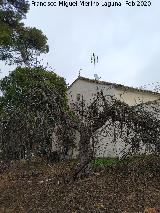 Cortijo de Torrequebrada. 