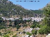 Grazalema. 