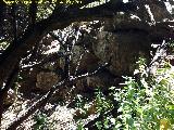 Poblado prehistrico del Cerro del Salto. Muralla