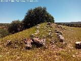 Poblado prehistrico del Cerro del Salto. Lnea de muralla