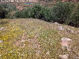 Poblado prehistrico del Cerro del Salto. Camino de salida del poblado