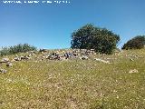 Poblado prehistrico del Cerro del Salto. Lnea de muralla y a la derecha esquina de edificacin