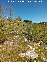 Poblado prehistrico del Cerro del Salto. Lnea de muralla