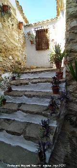 Casa Museo de Manuel Jdar. Escalera del patio