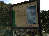 Sendero Arroyo de Martn Prez. Cartel