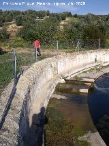 Estanque de Pedro Malena. Entrada de aguas y escudo