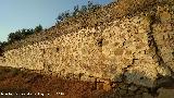 Cortijo La Sevilleja. Muro