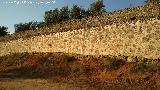 Cortijo La Sevilleja. Muro