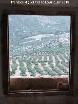 Cortijo de la Dehesa Boyal. Ventana de las cmaras