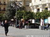 Plaza de las Tendillas. 