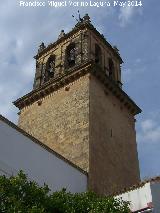 Iglesia de Santa Marina de las Aguas Santas. Campanario