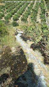 Poblado prehistrico de Alicn. Canal de agua que baja al poblado