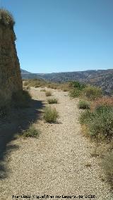 Cerro de la Mina. 