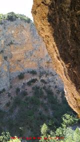 Petroglifos de la Cueva de la Tinaja. Vistas