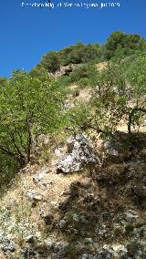 Petroglifos de la Cueva de la Tinaja. Cueva