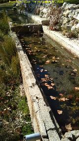 Fuente Cao del Aguadero. 