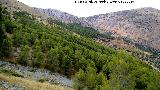 Vereda del Pincho. Vista hacia la Cresta del Diablo