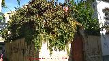 Casa de los Moriscos. Jardn