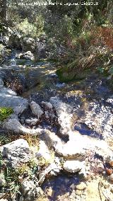 Nacimiento del Arroyo de Valdecuevas. 