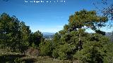 Refugio de Guadahornillos. Vistas