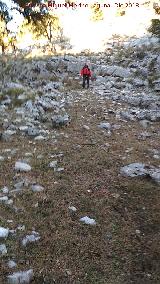 Camino viejo de Valdetrillo. 